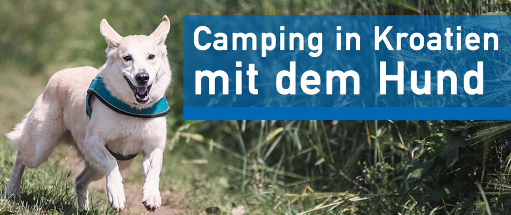 Camping in Kroatien mit dem Hund baskakrk.de
